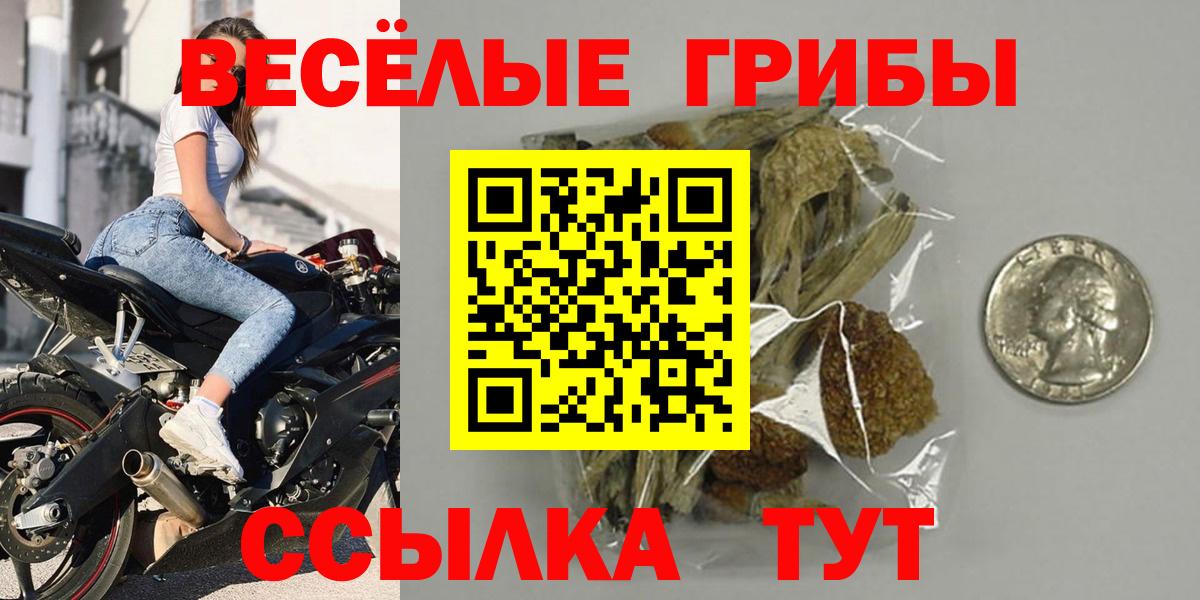 Чистополь  купить закладку  Вход с VPN  Псилоцибиновые грибы Psilocybe 